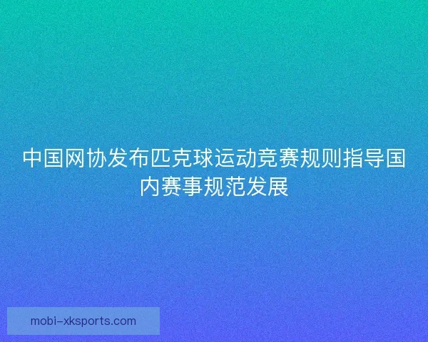 中国网协发布匹克球运动竞赛规则指导国内赛事规范发展 中国网协发布匹克球运动竞赛规则指导国内赛事规范发展