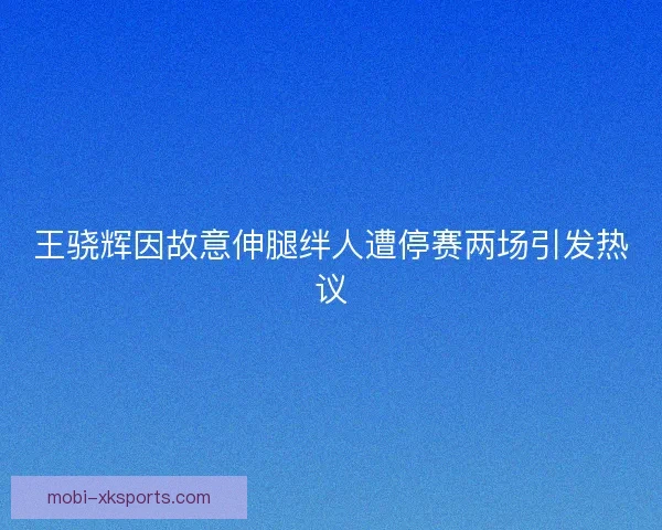 王骁辉因故意伸腿绊人遭停赛两场引发热议 王骁辉因故意伸腿绊人遭停赛两场引发热议